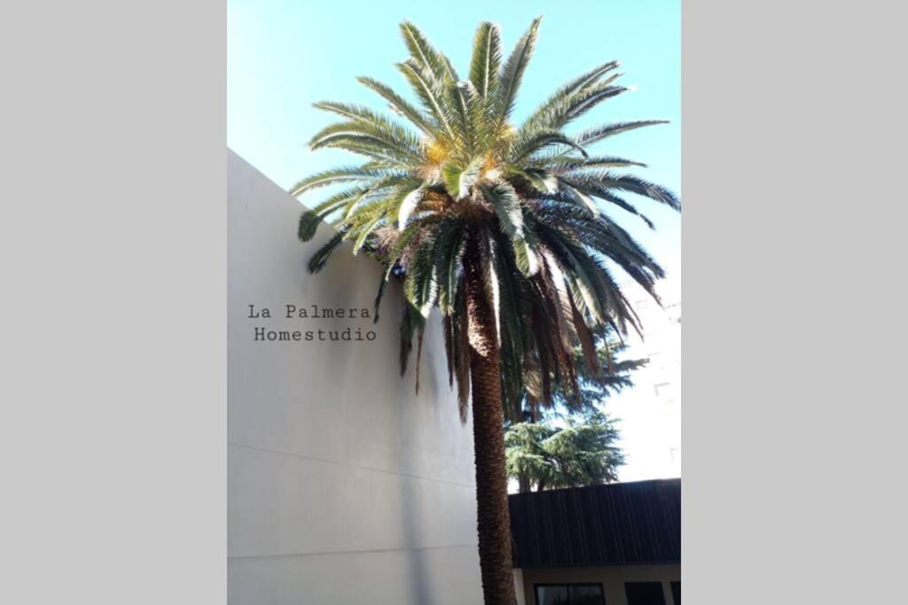 La Palmera Homestudio. Hermoso Apartamento En El Corazon De Palermo Hollywood Buenos Aires Exteriér fotografie